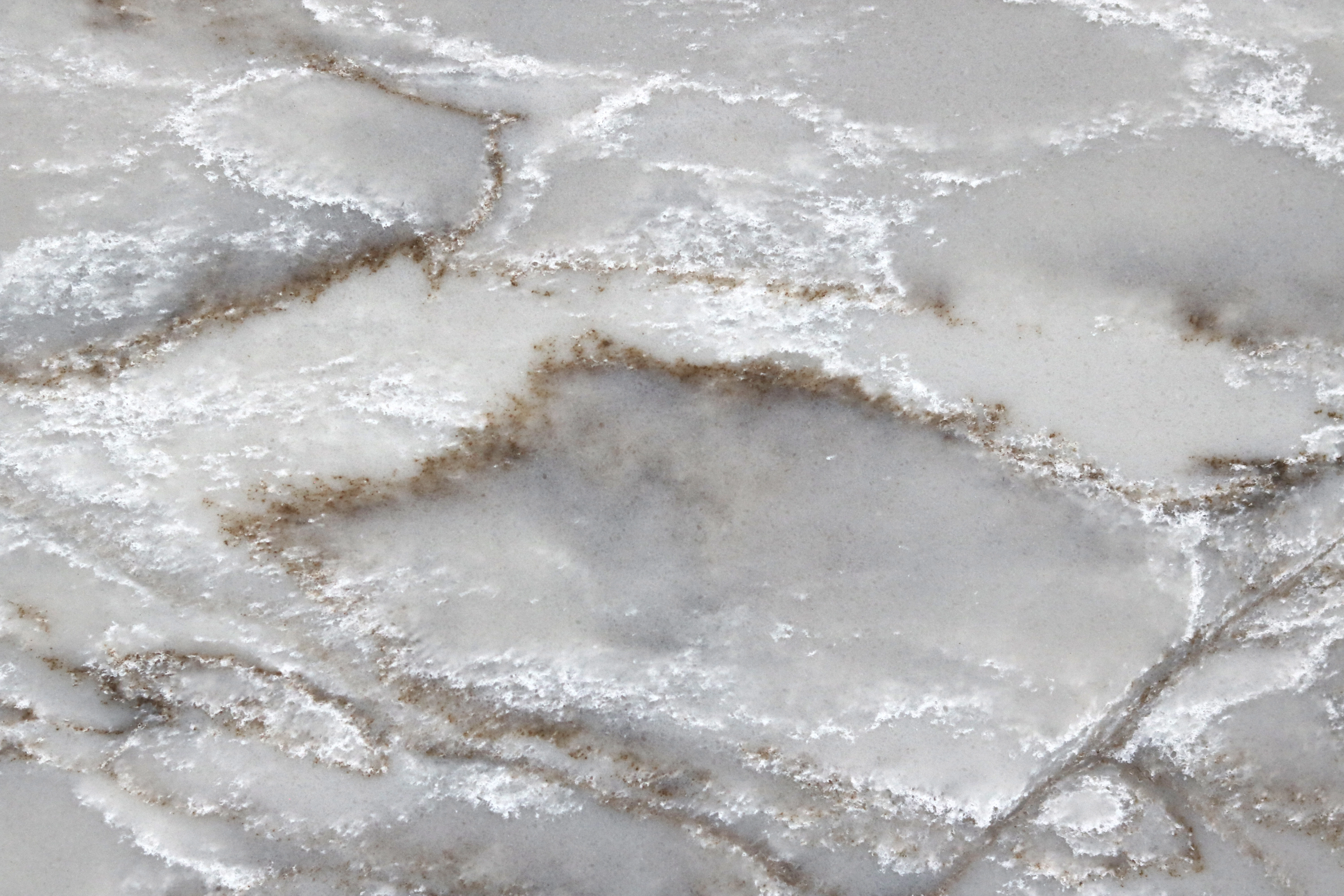 Close-up Detail